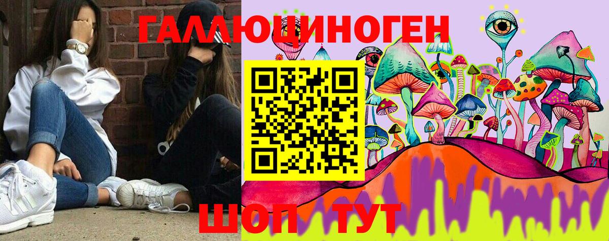 Псилоцибиновые грибы Psilocybine cubensis Всеволожск