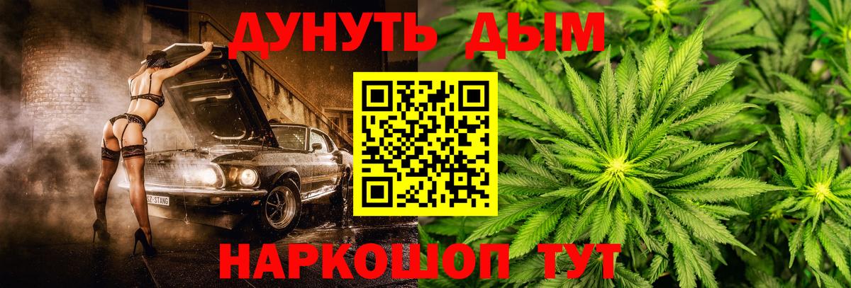 Бошки марихуана ГИДРОПОН  Вход с VPN  Марихуана план  Всеволожск  МАРИХУАНА индика  Каннабис конопля 